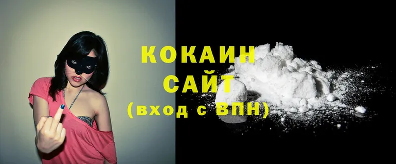 Cocaine FishScale  где можно купить   shop как зайти  Лыткарино 